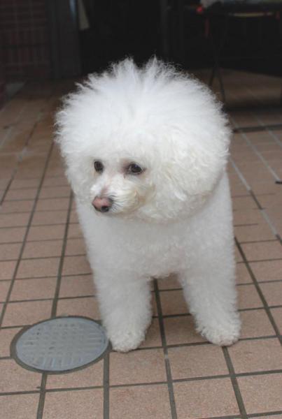 今日のお掃除日記 6月5日編画像