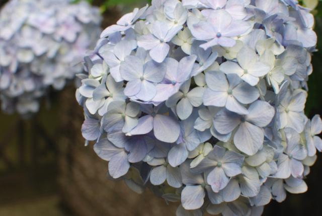 今日のお掃除日記 6月19日編画像