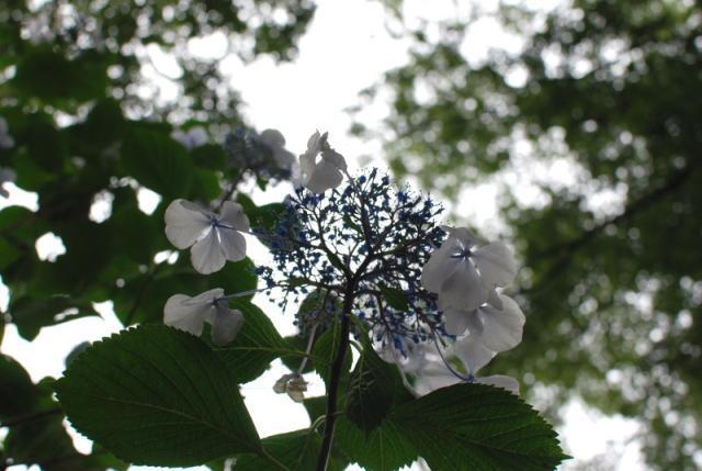 今日のお掃除日記 6月26日編画像