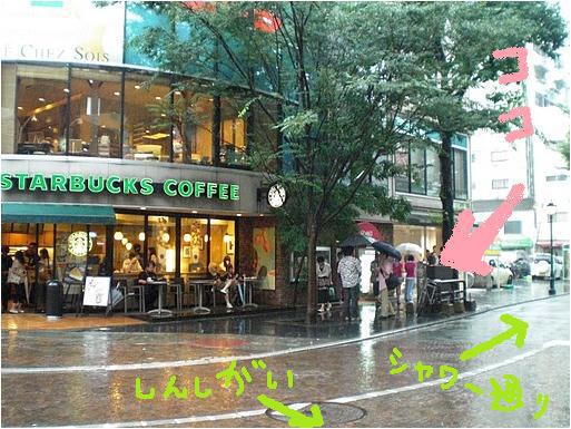 マチナカレッジ＋美少女図鑑&times;green bird コラボ☆そうじ画像