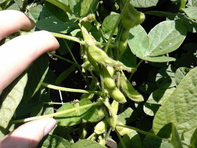 雨ニモマケズ　風ニモマケナイッッッ！！！画像