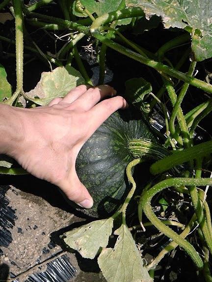 雨ニモマケズ　風ニモマケナイッッッ！！！画像