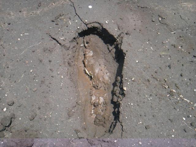 雨ニモマケズ　風ニモマケナイッッッ！！！画像