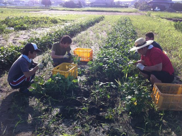 朝日を浴びて画像