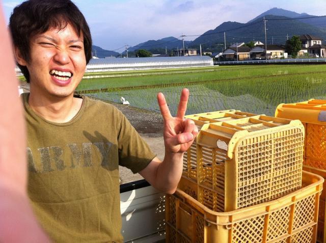 朝日を浴びて画像