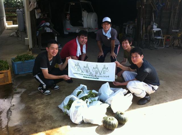 朝日を浴びて画像