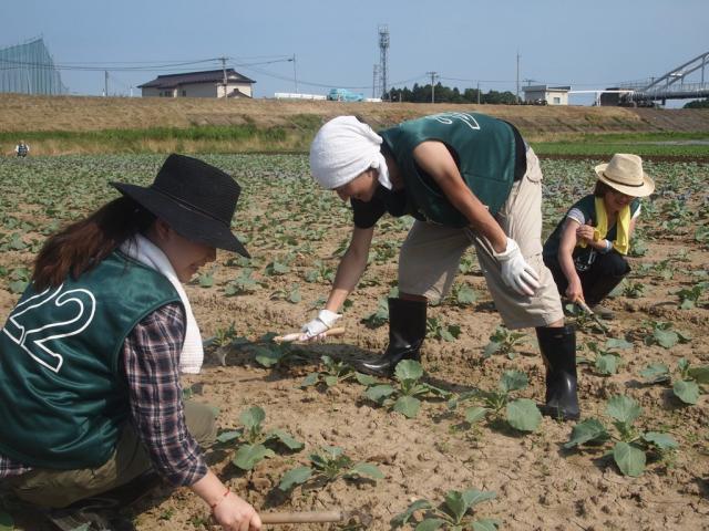 グリーンバード被災地支援ツアー第1便レポート画像