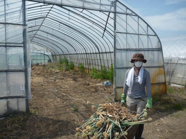 グリーンバード被災地支援ツアー第1便レポート画像