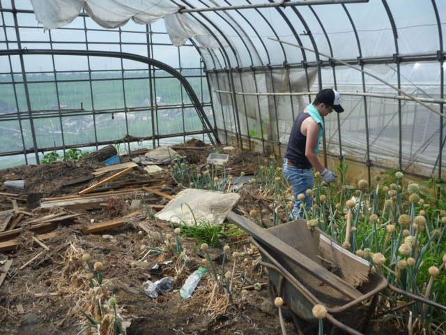 グリーンバード被災地支援ツアー第1便レポート画像