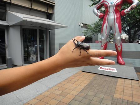 みつばちあ。画像