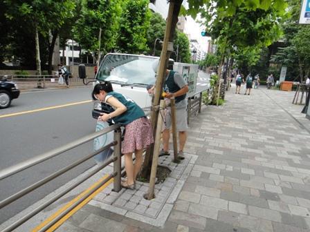 みつばちあ。画像