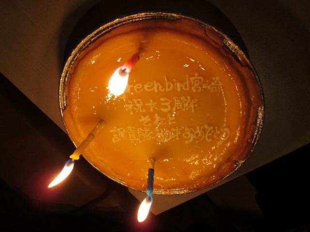 宮崎チーム３周年!!えれこっちゃ！１画像