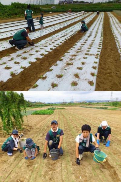 グリーンバード被災地支援ツアー第4便レポート画像