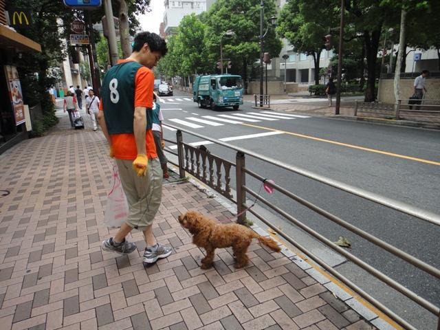 中止。。。のはずだったんですが。画像