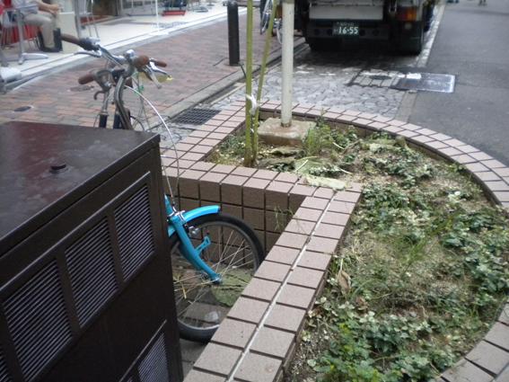 8.25　OSN48☆朝そうじ画像