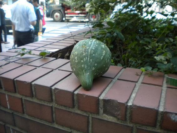 8.29 夏も終わりに近づく☆朝そうじ画像