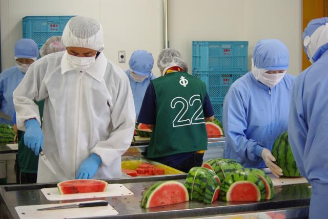 グリーンバード被災地支援ツアー第3便レポート画像