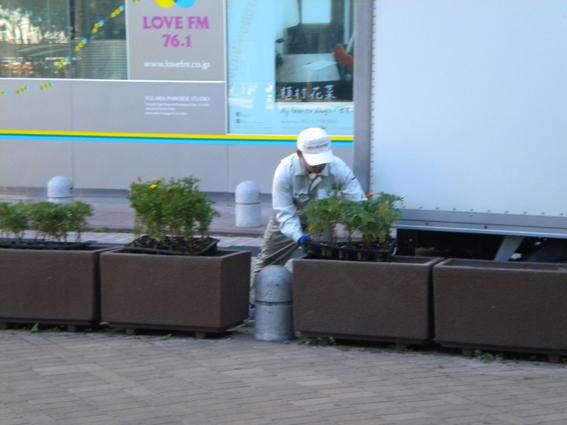 9.15　女々がいない？　朝そうじ画像