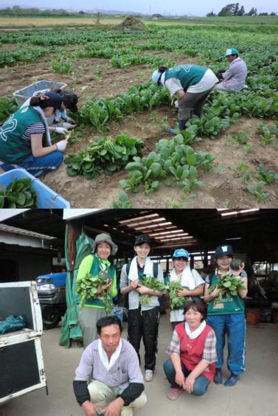 グリーンバード被災地支援ツアー第5便レポート画像