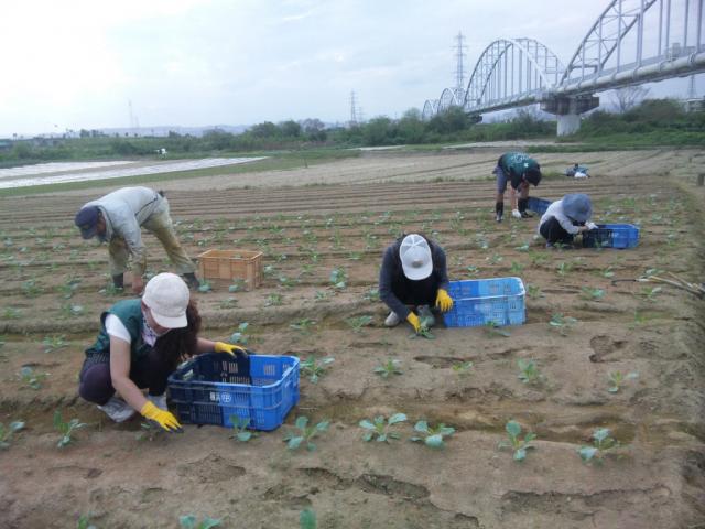グリーンバード被災地支援ツアー第5便レポート画像