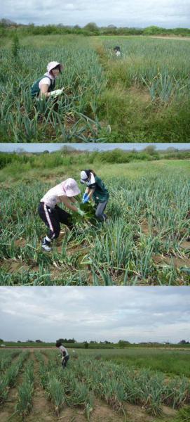 グリーンバード被災地支援ツアー第5便レポート画像