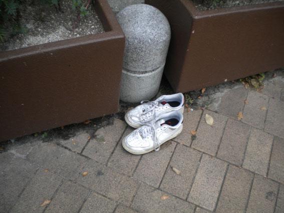 9.29　面白いこと&hellip;面白いこと&hellip;☆朝そうじ画像