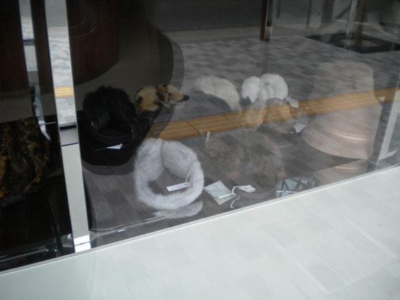 9.29　面白いこと&hellip;面白いこと&hellip;☆朝そうじ画像