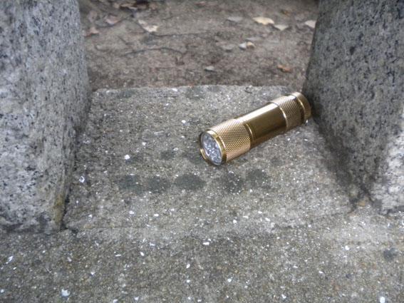 9.29　面白いこと&hellip;面白いこと&hellip;☆朝そうじ画像