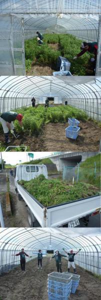 グリーンバード被災地支援ツアー第6便レポート画像