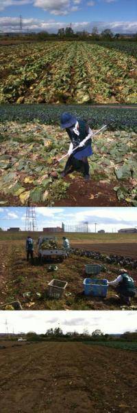 グリーンバード被災地支援ツアー第6便レポート画像