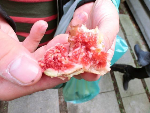 農園以外が意外と楽しい？画像