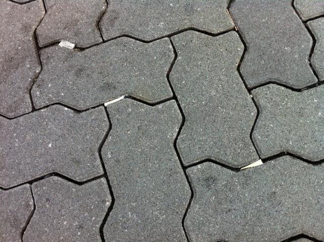 21歳の誕生日ををゴミ拾いで祝う！画像