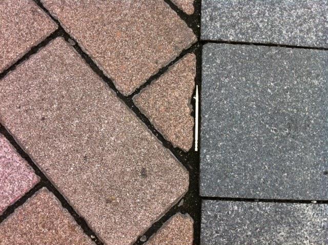 21歳の誕生日ををゴミ拾いで祝う！画像