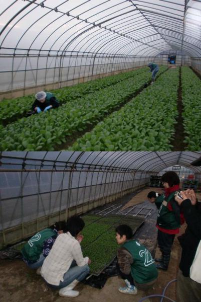 グリーンバード被災地支援ツアー第9便レポート画像