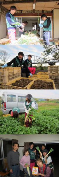 グリーンバード被災地支援ツアー第9便レポート画像