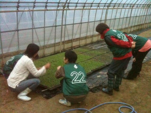 11/12 男だらけの仙台そうじ＆若林区の農場での活動画像