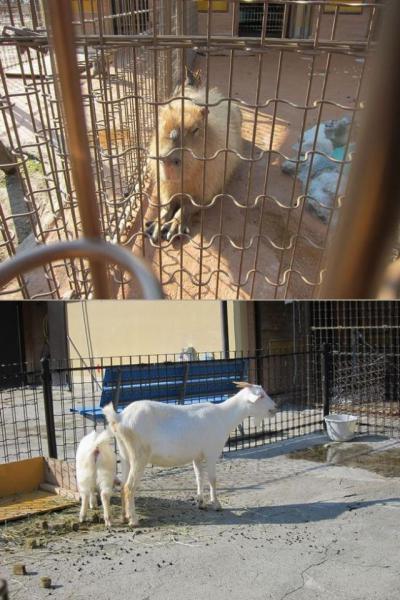 アトレ「クリーン＆グリーンアクション」vol.3 アトレ新浦安画像