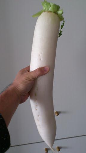 グリーンバード被災地支援ツアー第10便レポート画像