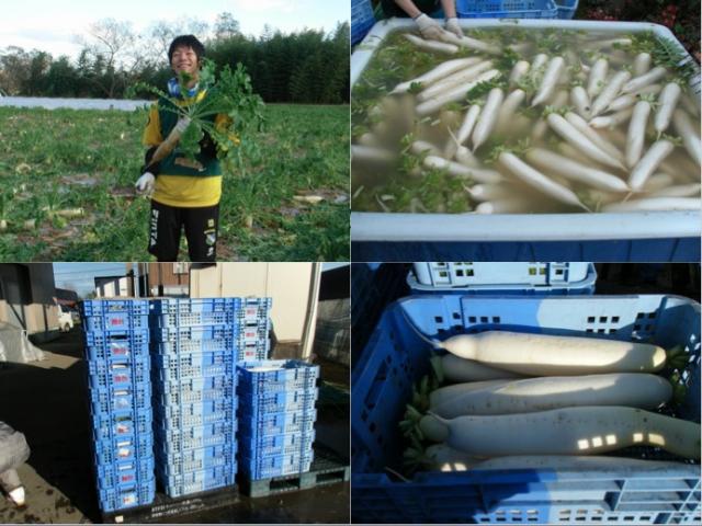 グリーンバード被災地支援ツアー第10便レポート画像