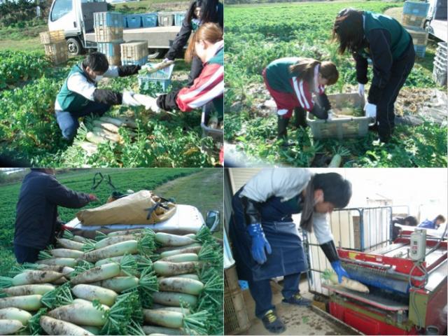 グリーンバード被災地支援ツアー第10便レポート画像