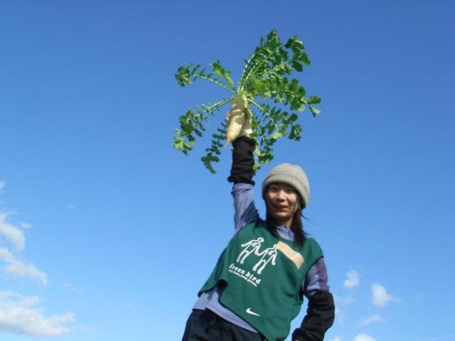 グリーンバード被災地支援ツアー第10便レポート画像