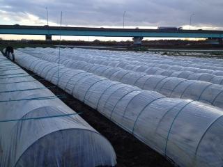 グリーンバード被災地支援ツアー第11便レポート画像