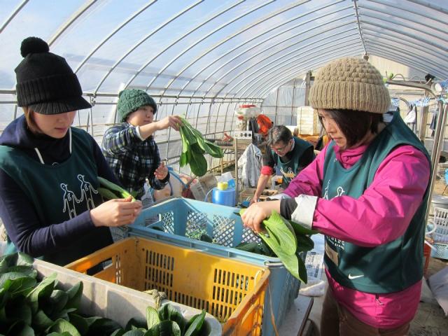 グリーンバード被災地支援ツアー第11便レポート画像