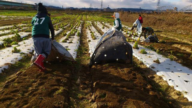 グリーンバード被災地支援ツアー第12便レポート画像