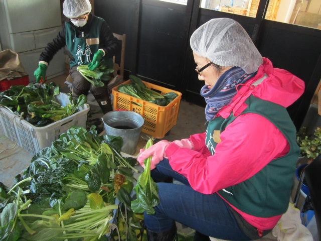 グリーンバード被災地支援ツアー第12便レポート画像