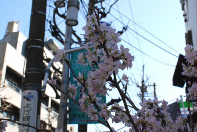 今日のお掃除日記 2月12日編画像