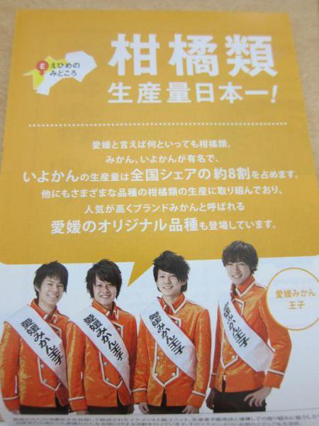 愛媛&times;表参道画像