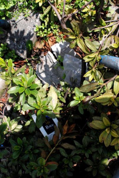 今日のお掃除日記 3月11日編画像