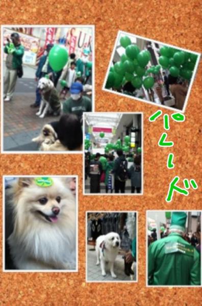 緑のパレードお掃除!画像