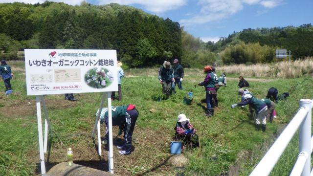 被災地復興支援プロジェクト2012：5/12 いわき市久之浜にてスタート！画像